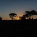 TZA MAR SerengetiNP 2016DEC23 LemalaEwanjan 006 : 2016, 2016 - African Adventures, Africa, Date, December, Eastern, Lemala Ewanjan Camp, Mara, Month, Places, Serengeti National Park, Tanzania, Trips, Year